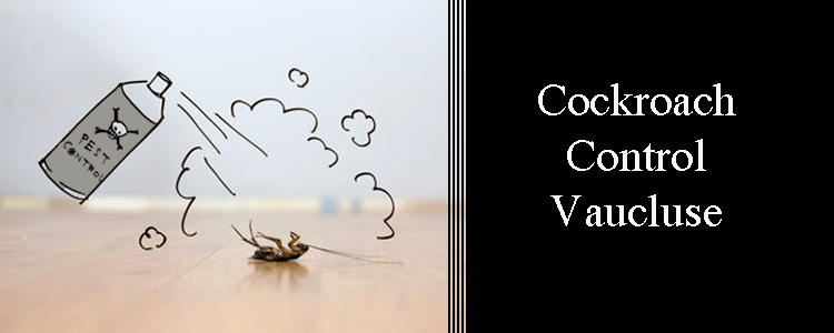 Cockroach Control Vaucluse